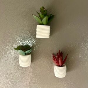 Set of 3 Magnetic Succulent Magnets
